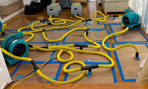 Professional Water Damage Repair technician working in Newport, OH